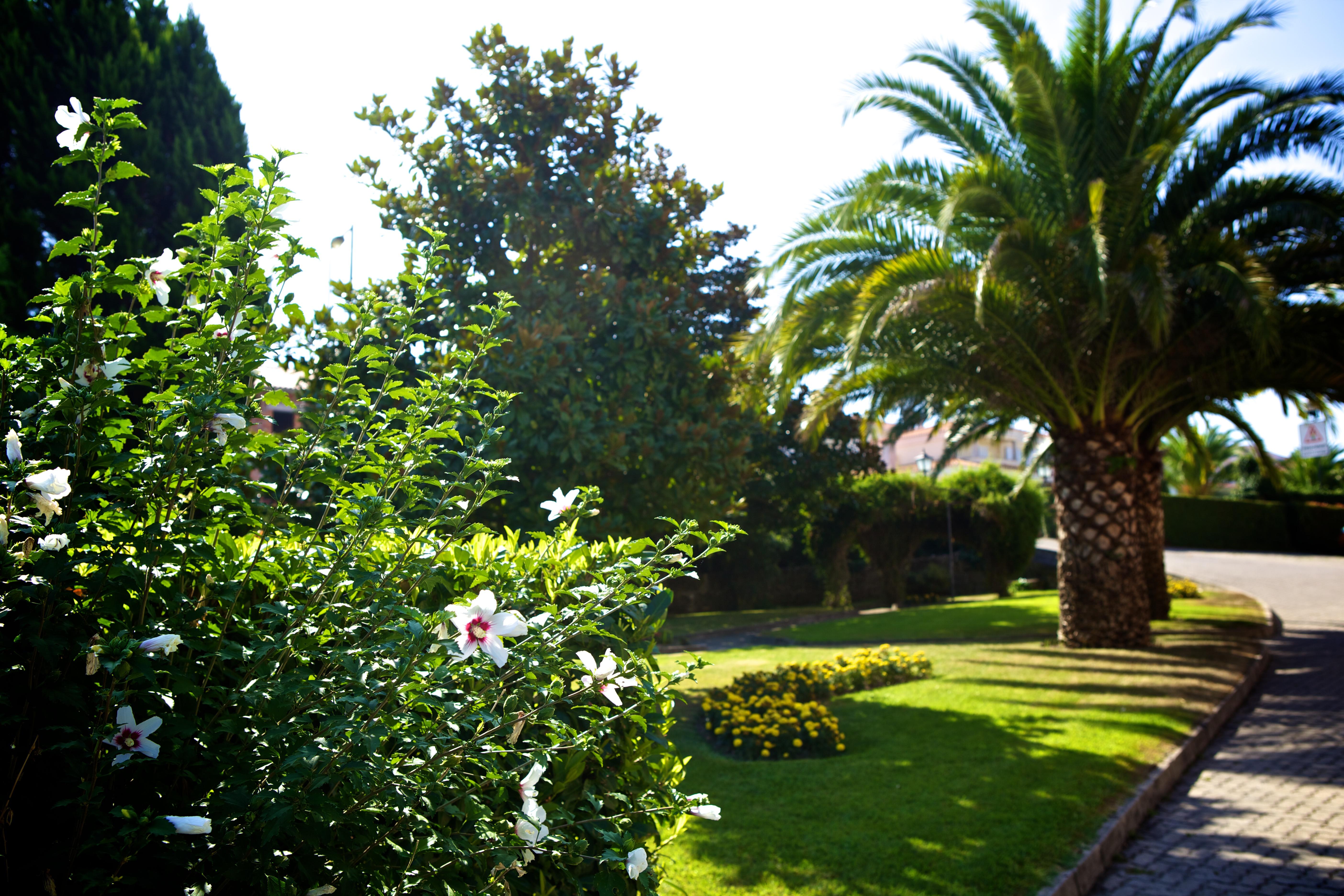 Hotel Sj Tondela Exterior photo