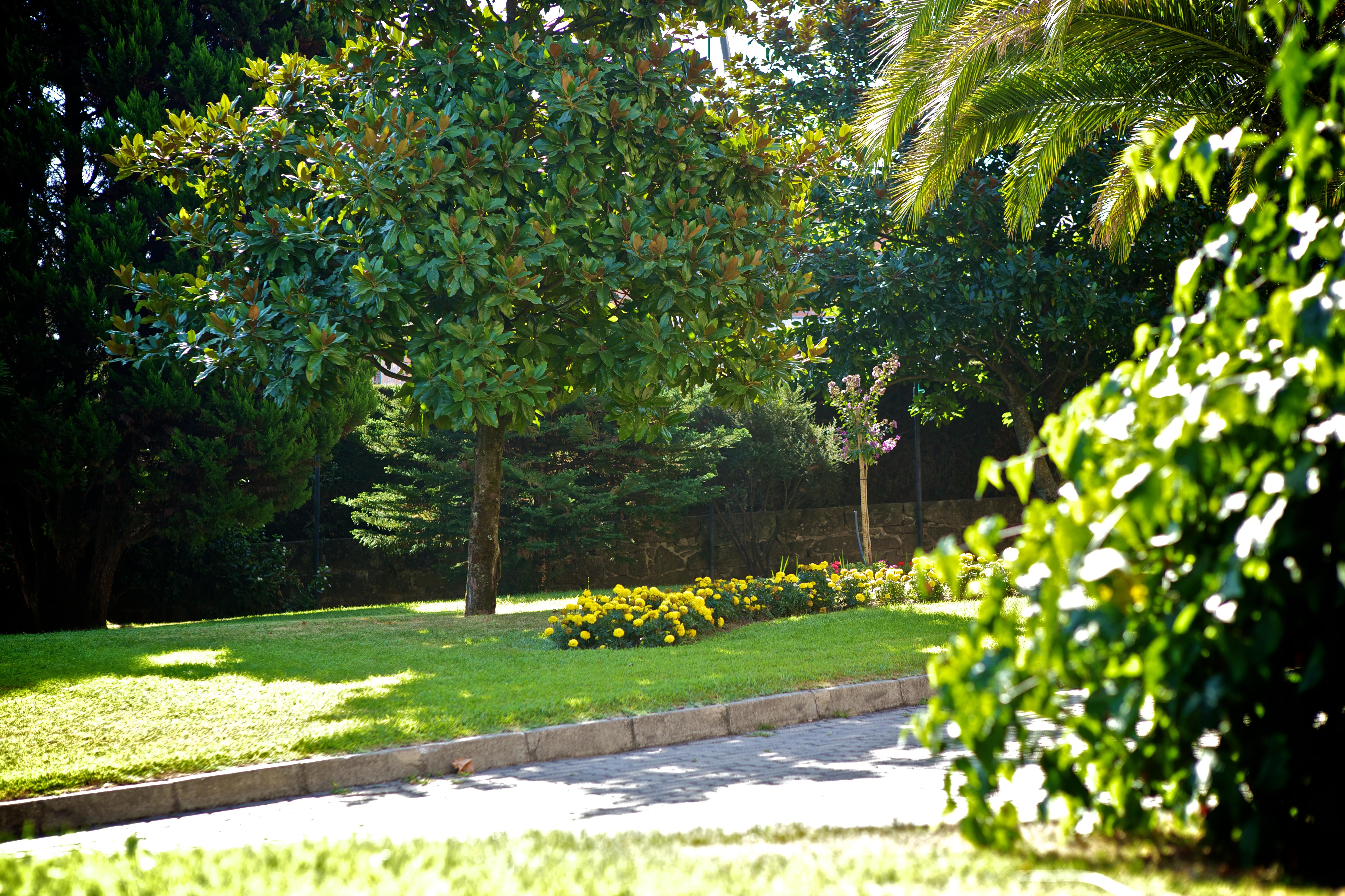 Hotel Sj Tondela Exterior photo